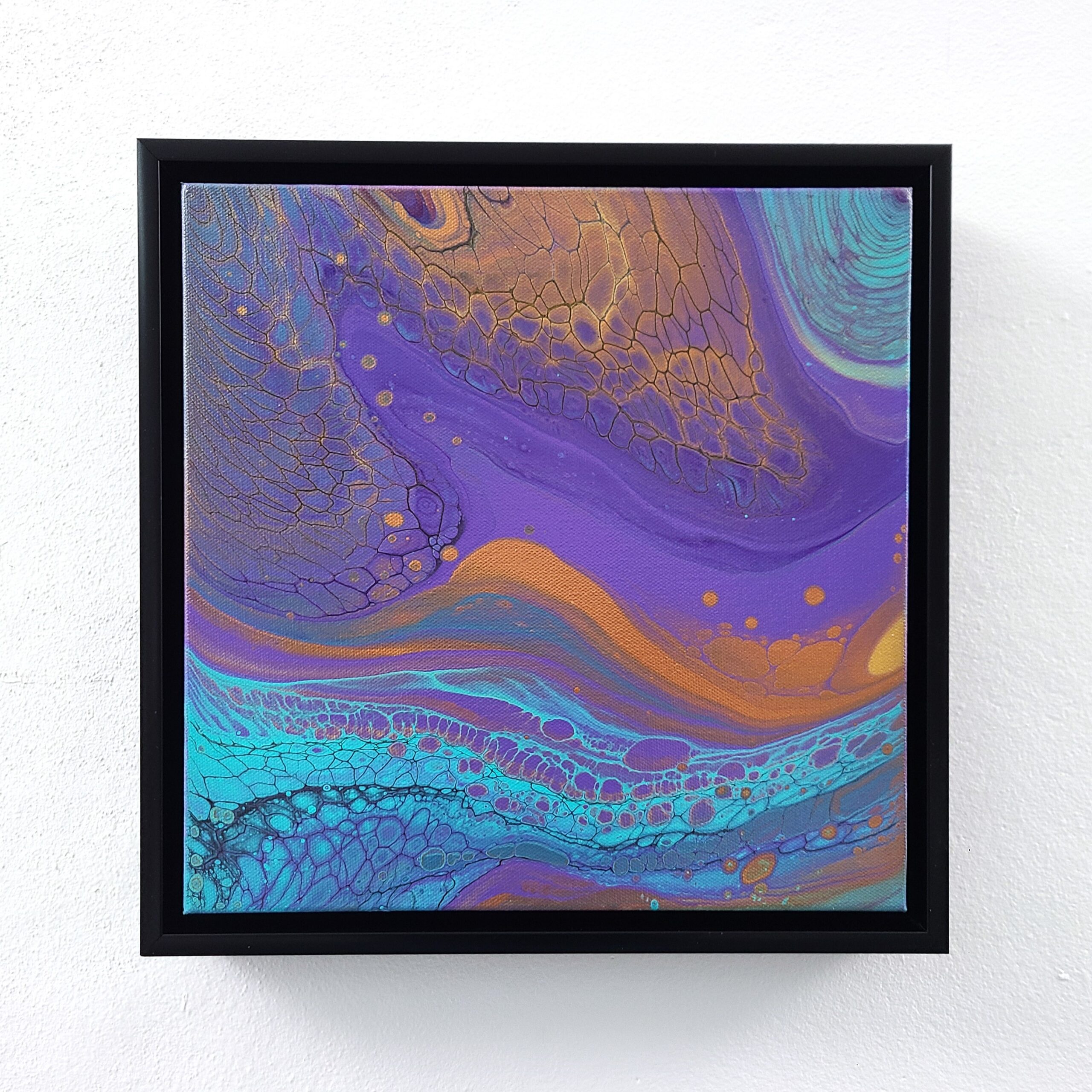 Purple Hazel
